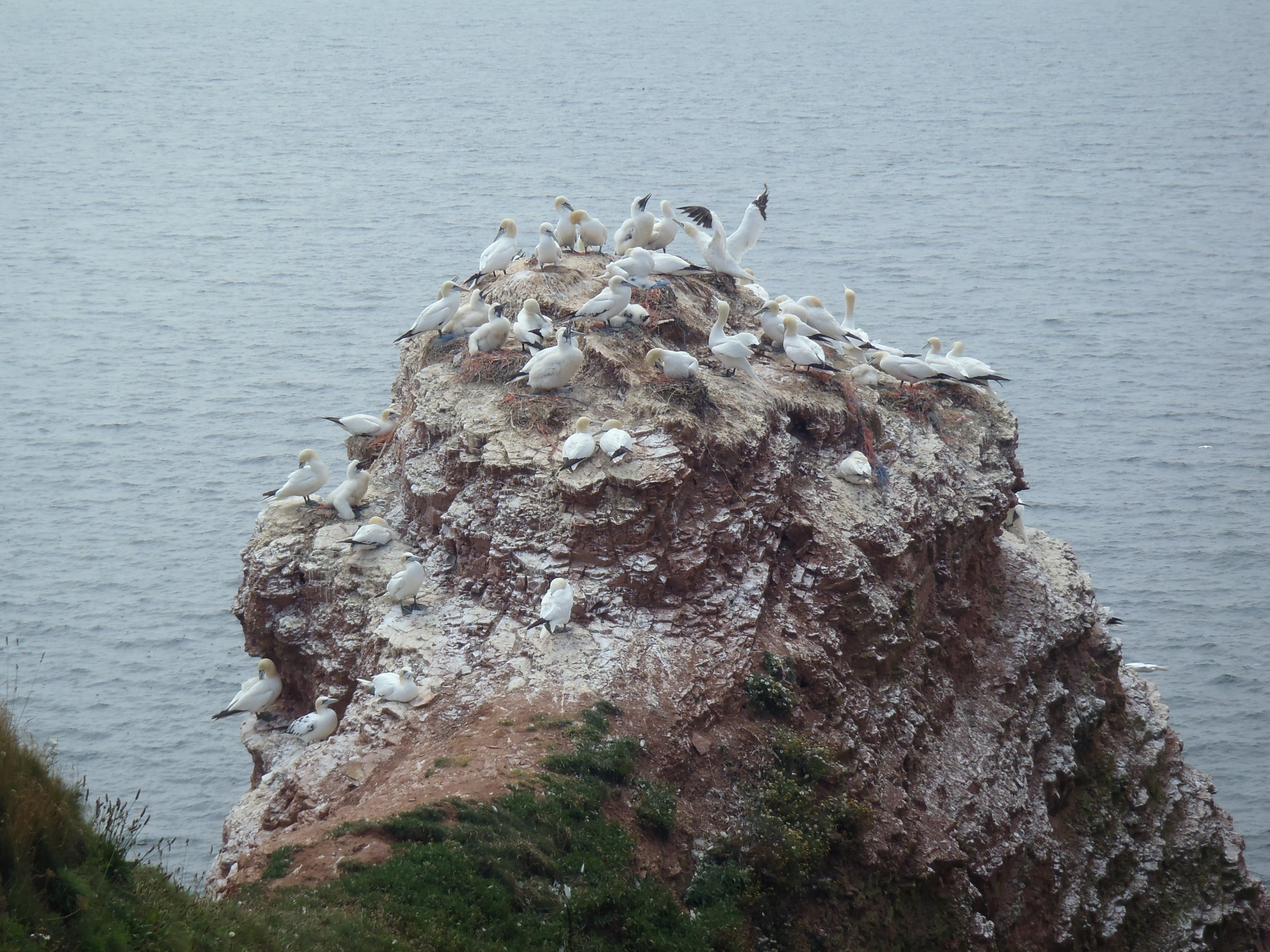 JanvanGenten op Helgoland